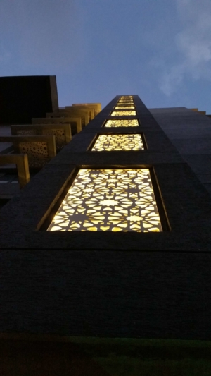 Vaswani Chaaya6