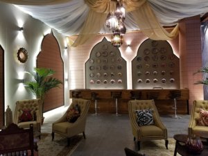 2017 Acetech VIP Lounge Mumbai 3
