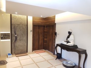 Paradigm Nivan Show Flat